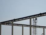 Drainage & infrastructure